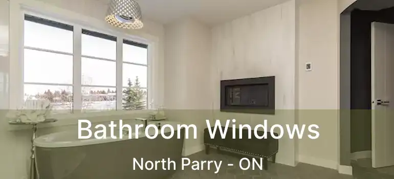  Bathroom Windows North Parry - ON