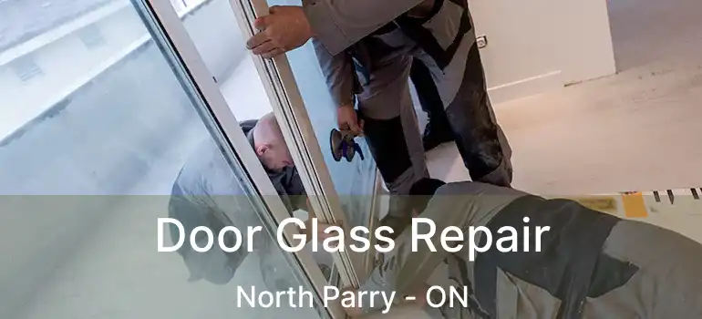  Door Glass Repair North Parry - ON