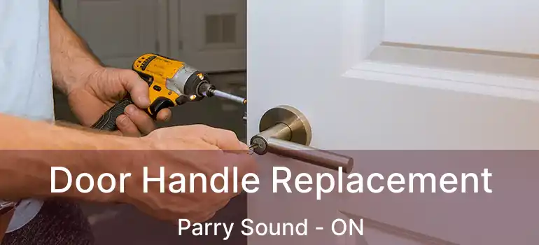  Door Handle Replacement Parry Sound - ON