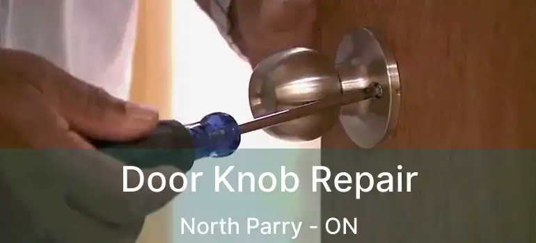  Door Knob Repair North Parry - ON