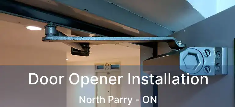  Door Opener Installation North Parry - ON