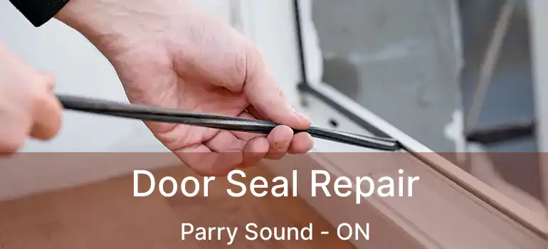  Door Seal Repair Parry Sound - ON