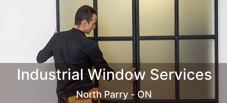  Industrial Window Services North Parry - ON