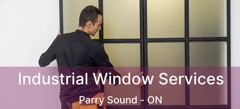 Industrial Window Services Parry Sound - ON