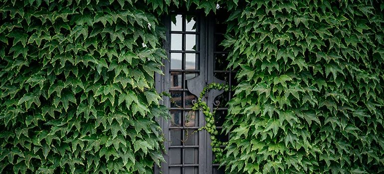 Garden Gate Repair in Parry Sound, ON