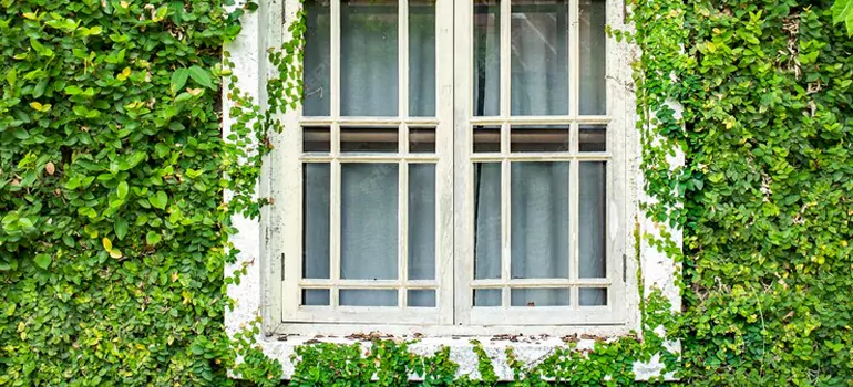 arden Window Repair Near Me in Parry Sound, ON