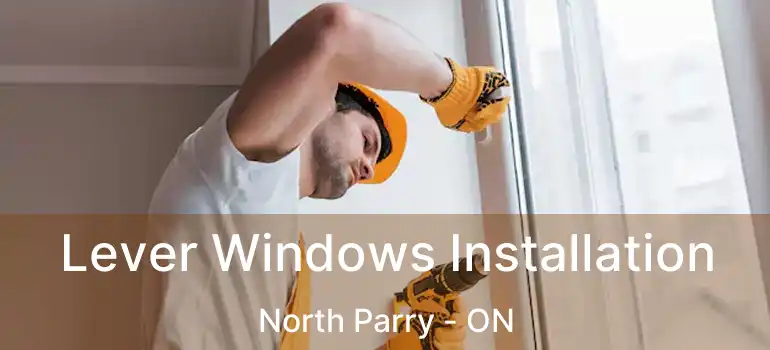  Lever Windows Installation North Parry - ON