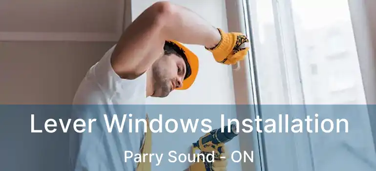  Lever Windows Installation Parry Sound - ON