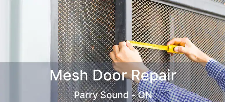  Mesh Door Repair Parry Sound - ON