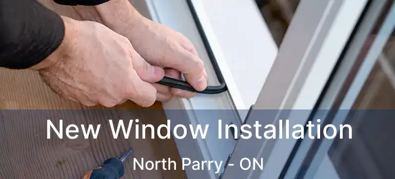  New Window Installation North Parry - ON