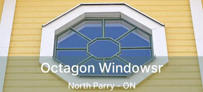  Octagon Windowsr North Parry - ON