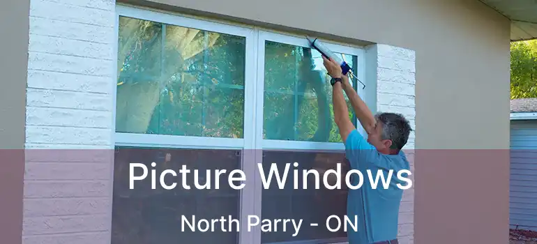  Picture Windows North Parry - ON