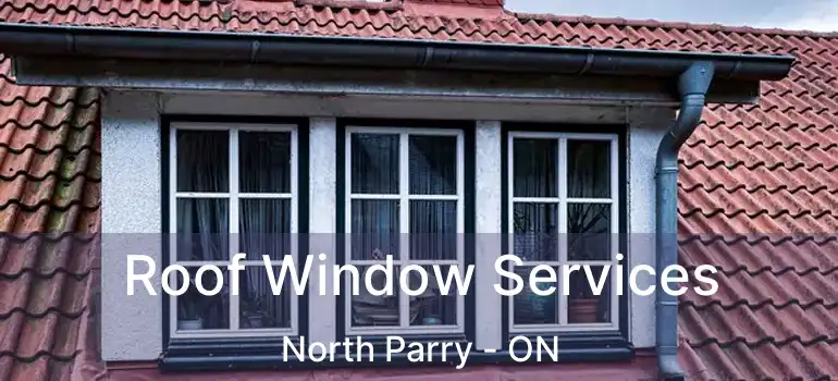  Roof Window Services North Parry - ON