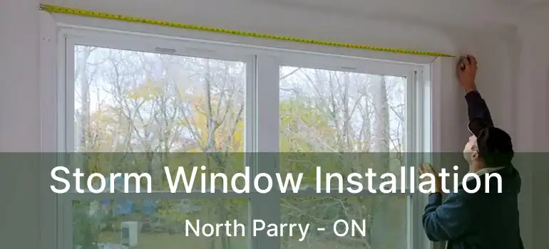  Storm Window Installation North Parry - ON