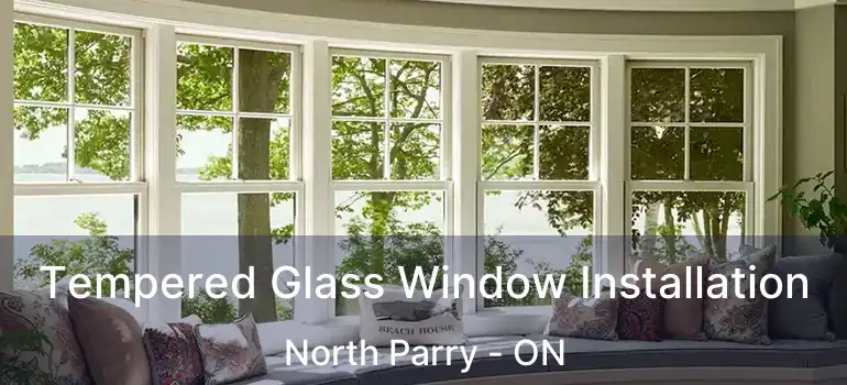  Tempered Glass Window Installation North Parry - ON