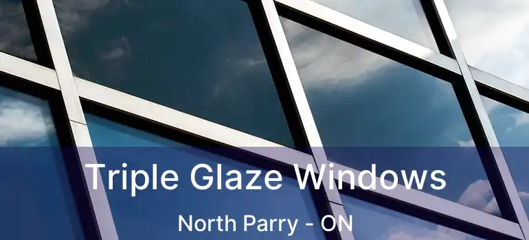  Triple Glaze Windows North Parry - ON