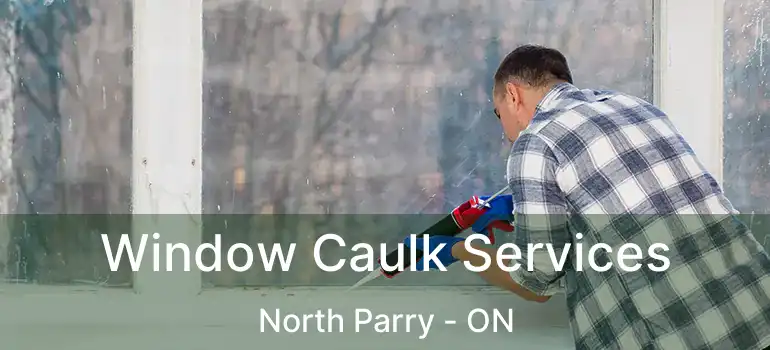  Window Caulk Services North Parry - ON