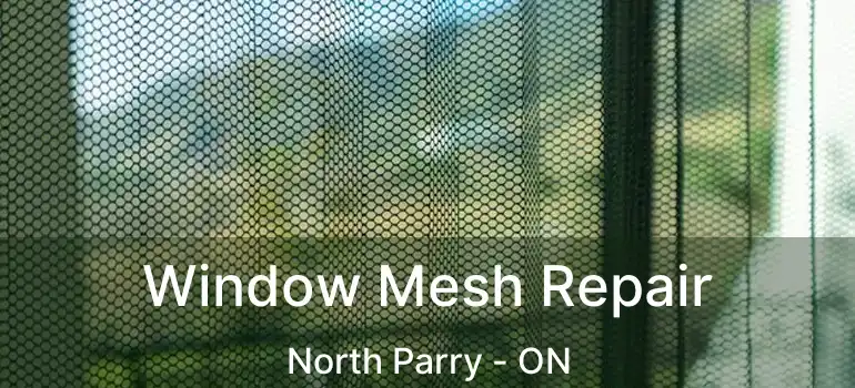  Window Mesh Repair North Parry - ON