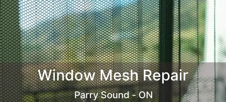  Window Mesh Repair Parry Sound - ON