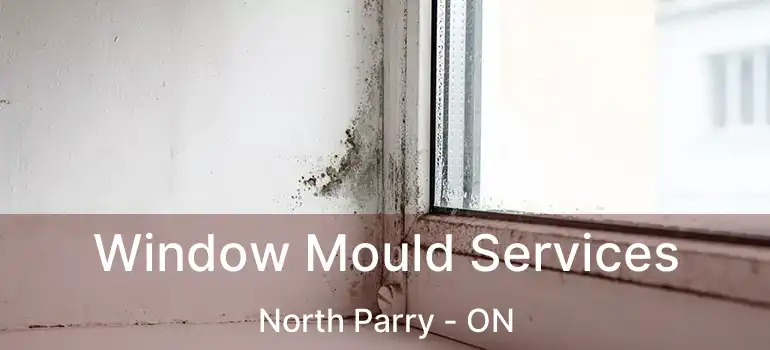  Window Mould Services North Parry - ON
