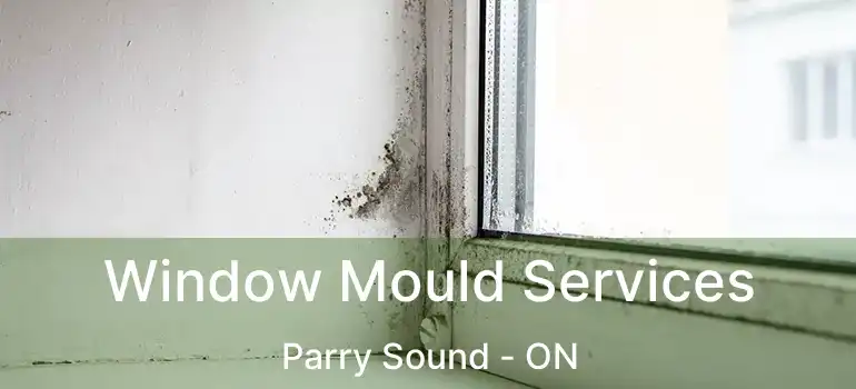  Window Mould Services Parry Sound - ON