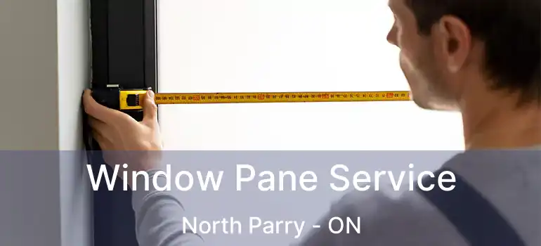  Window Pane Service North Parry - ON