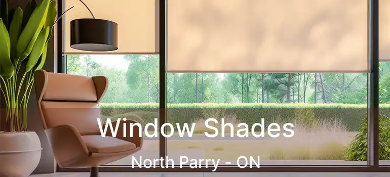  Window Shades North Parry - ON