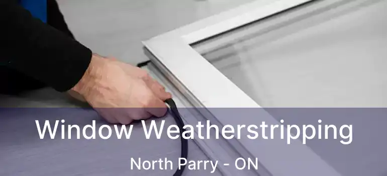  Window Weatherstripping North Parry - ON