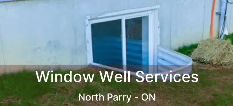  Window Well Services North Parry - ON